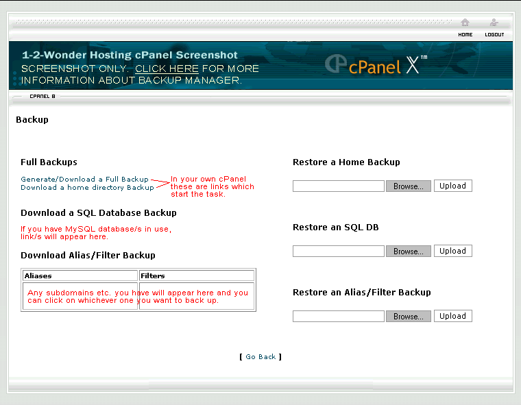 Screenshot of cPanel Backup Manager page