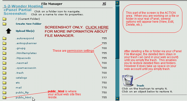 Screenshot of cPanel File Manager window.