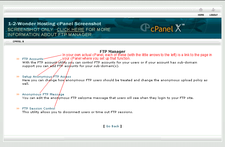 Screenshot of cPanel FTP Manager