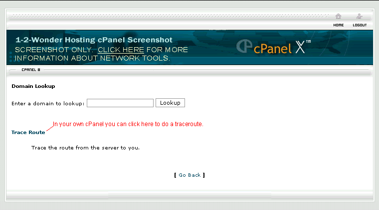 Screenshot of cPanel Network Tools page